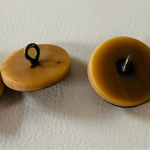 Sea Shell buttons - Picture 8 of 9